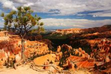bryce canyon.jpg